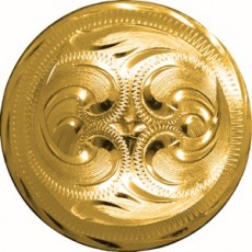 Concho Gold Colour Chicago/sc 3/4 