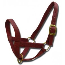 Cattle Halter Web Heifer