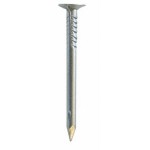 Nail (flat head) Stainless Steel