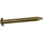 Brass Escutcheon Pins 3/4 X #14