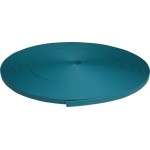 PVC WEBB TEAL 5/8```` (16mm X 3mm)40R