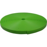 PVC WEBB FLOURO LIME GREEN 1`` (25mm X 3m