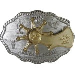 Belt Buckle Rotate Star