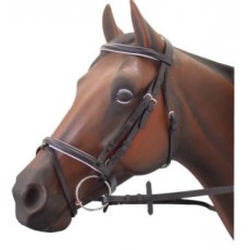 Bridle 3/4 &#148; Web Reins Black Cob