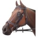 Bridle 3/4 ” Web Reins Black Cob