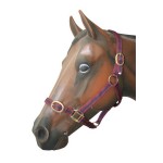 Halter Nylon 1 Brass Plated Pony