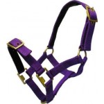 Halter Nylon Minature