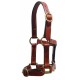 Halter Minature Havana