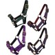 Web Halter Two Colours Foal