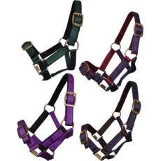 Web Halter Two Colours Pony