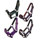 Web Halter Two Colours Pony