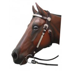 Show Bridle Brown Pony