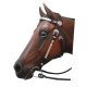 Show Bridle Brown Pony