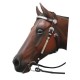 Show Bridle Brown Full