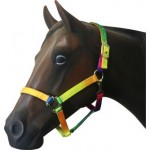 Nylon Web Halter Multi Colour Cob