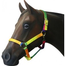 Nylon Web Halter Multi Colour Cob