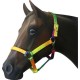 Nylon Web Halter Multi Colour Cob