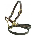 Cattle Halter Brown Brass Two Leads Med