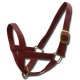 Cattle Halter Web Bull