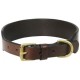 Dog Collar Tapered  Brown 1 1/2x18