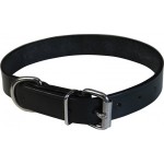 Dog Collar Black Ss Fittings 7/8 X 20