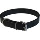 Dog Collar Black Ss Fittings 1 1/4 ” X 24